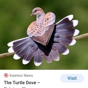 Meet your Posher, Margaret